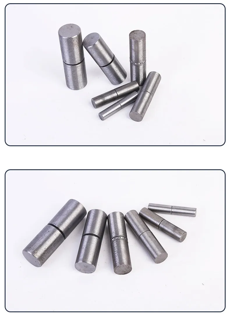 Door Pivot Hinge