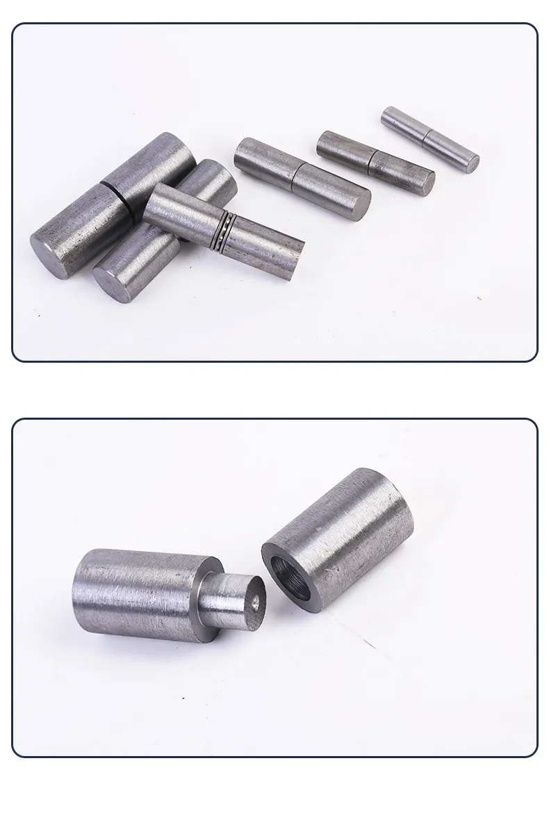 Door Pivot Hinge